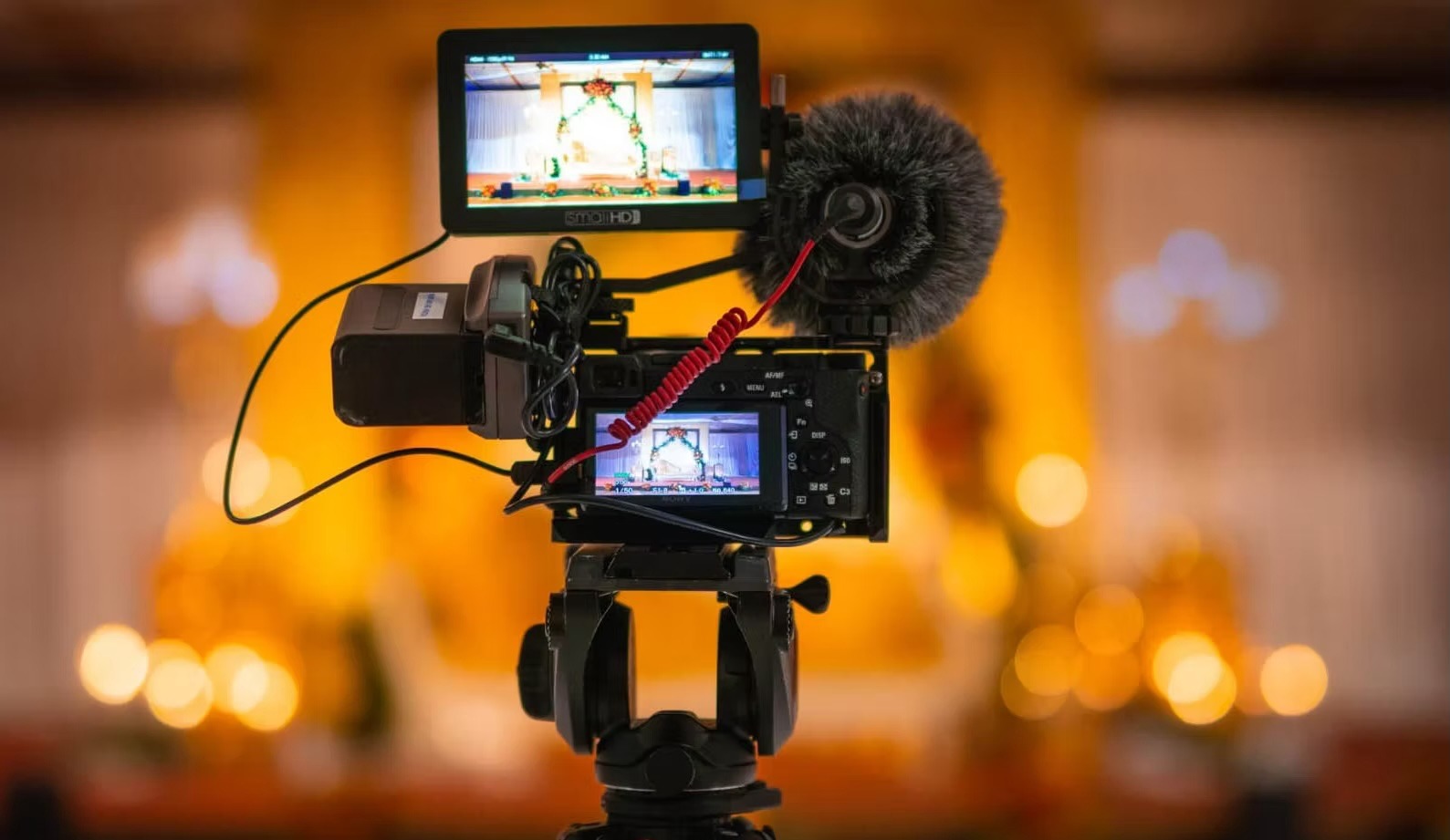 Live Stream Services